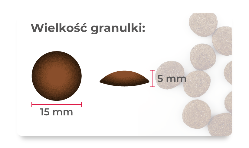 ÉCHANTILLON Croquettes pour chiens Canard, baies et épinards 60g